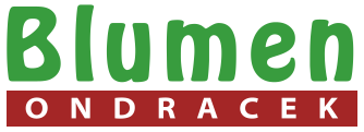 Blumen Ondracek